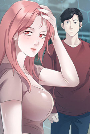 钢之炼金术师 封面